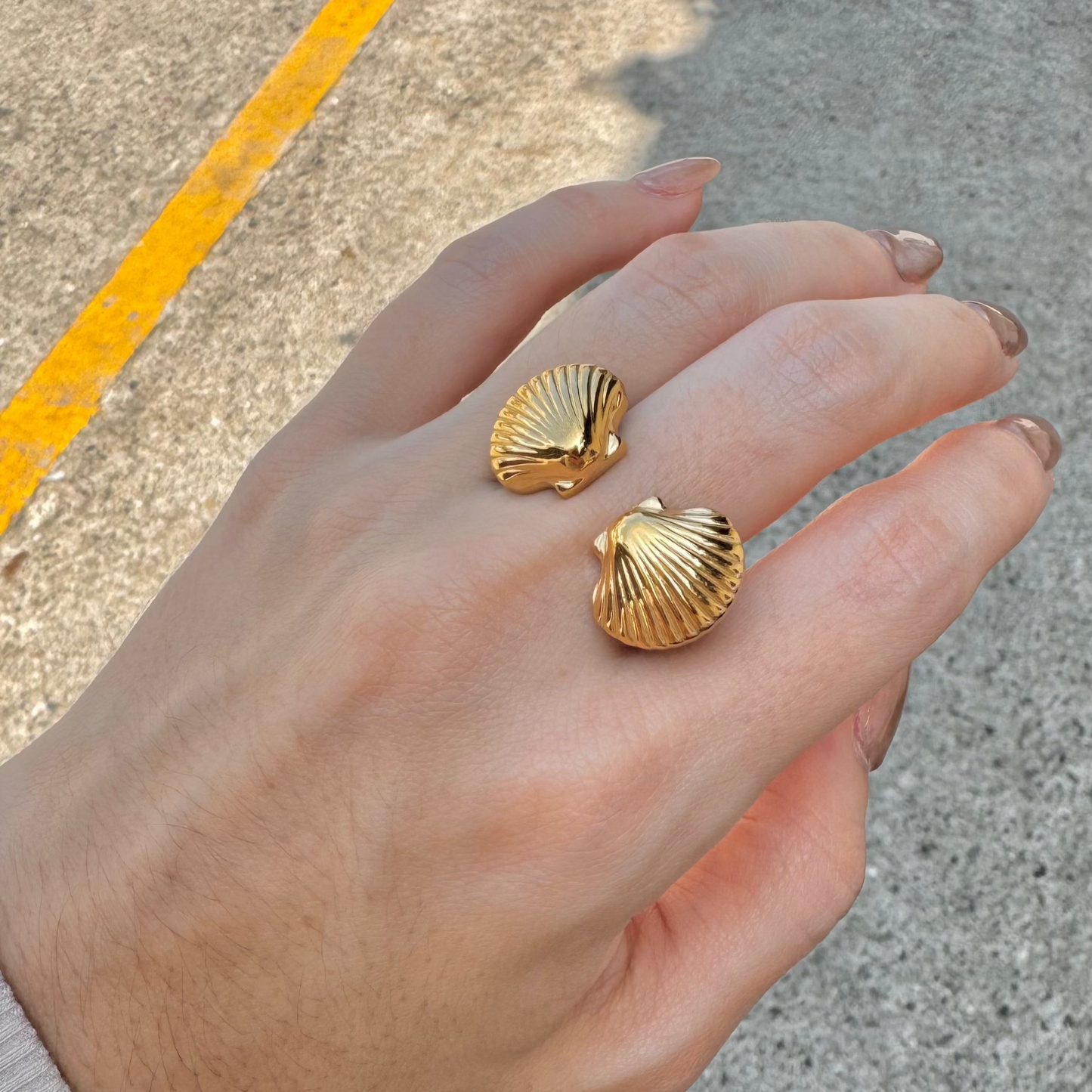 ANILLO CONCHAS