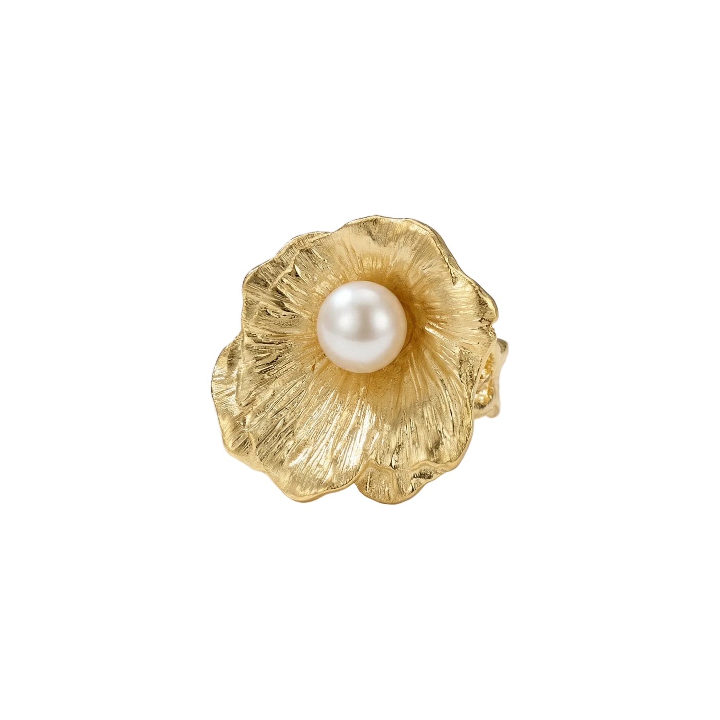 ANILLO PRONOIA