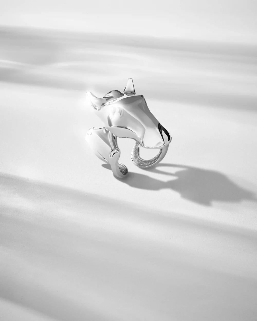EQUESTRE RING
