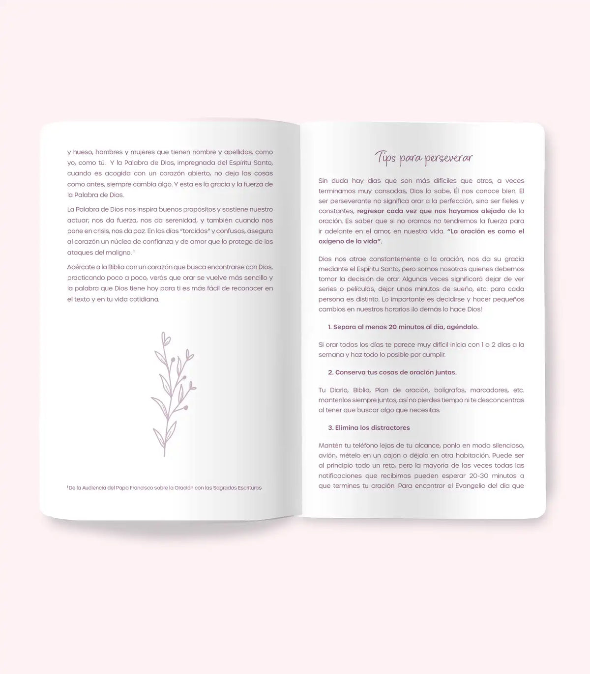 DIARIO 21 días Orando con la Biblia | María